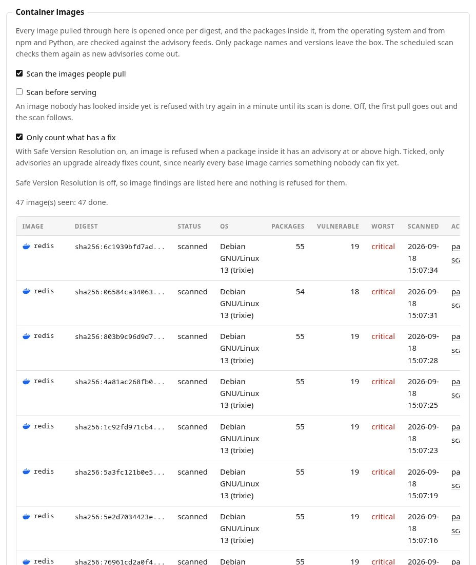 Vulnerabilities, including container images
