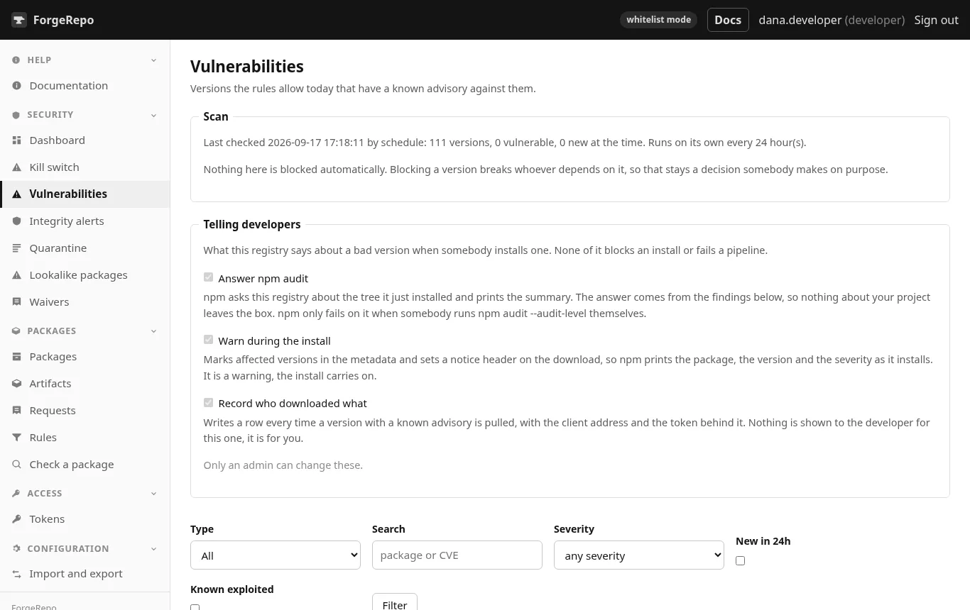 Vulnerabilities found inside container images